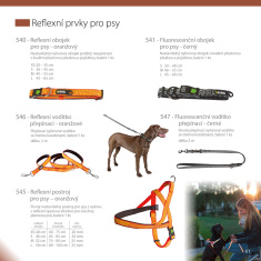 Reflektierendes Halstuch für Hunde Reflektierendes Halstuch für Hunde